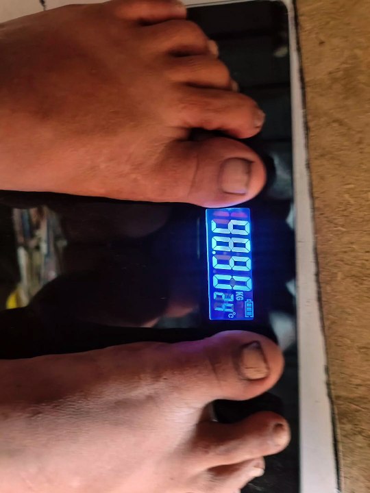 75 hard challenge day 13