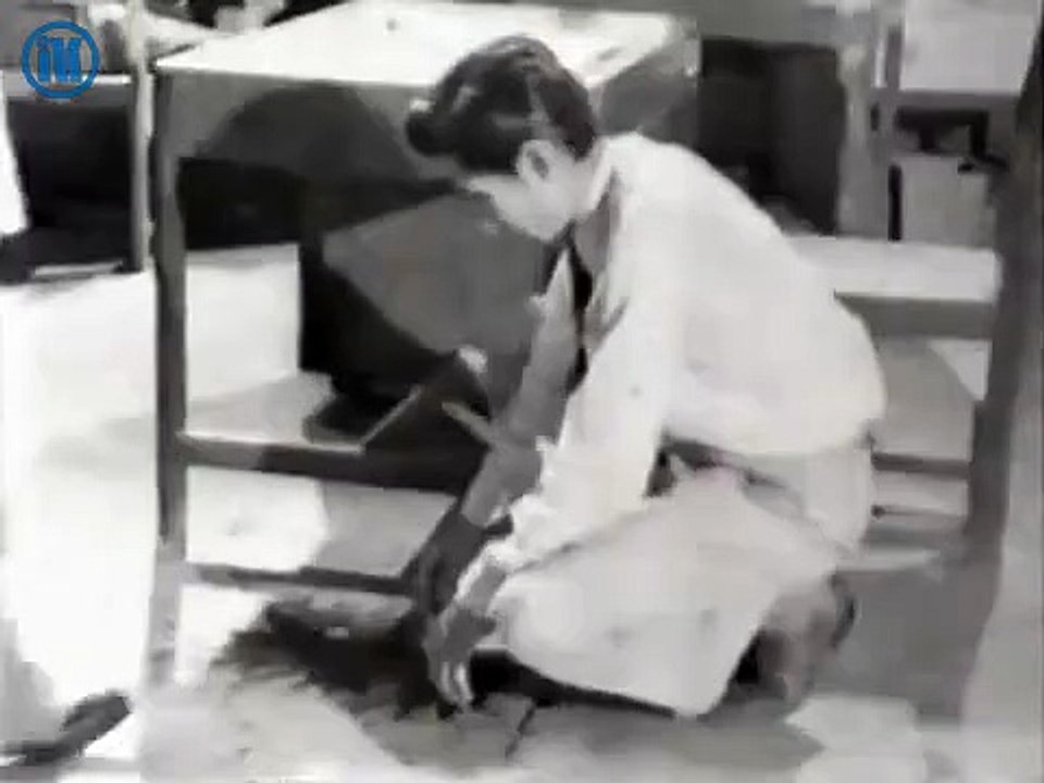 Lewat Djam Malam (1954)