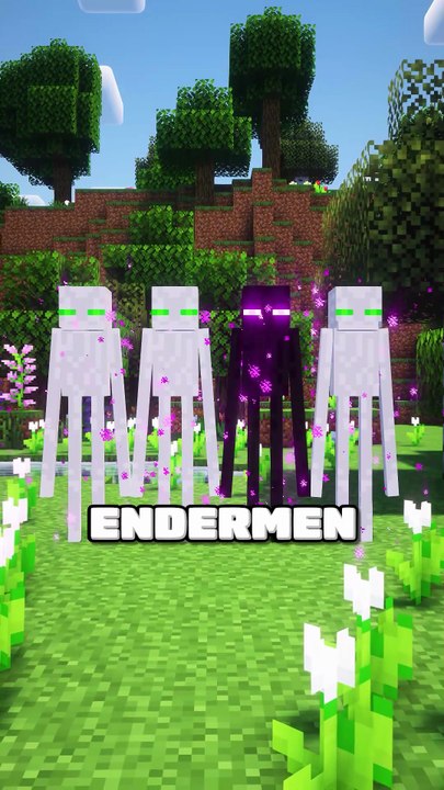 Qui est l'INTRUS ? 🤔