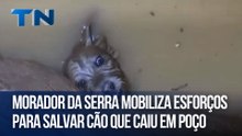 Morador da Serra mobiliza esforços para salvar cão que caiu em poço