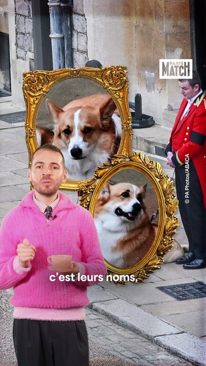 Corgis, packs de bières et feuilletons télé… Le morne quotidien de l’ex-prince Andrew