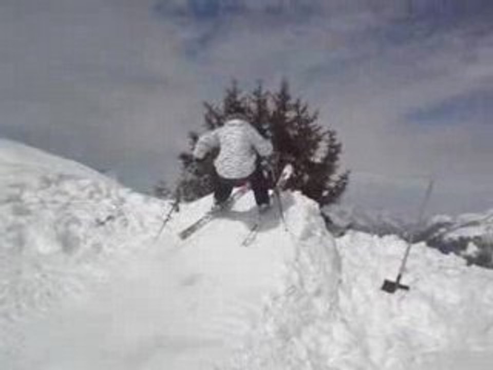 regis jump 360 par dessus un arbre