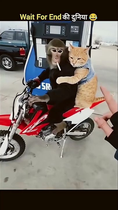 जानवरों के Gajab कारनामें 😂 wait for twist 🤣 #shorts #funny #animals