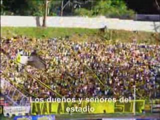 Deportivo Táchira Campeón 2007-2008