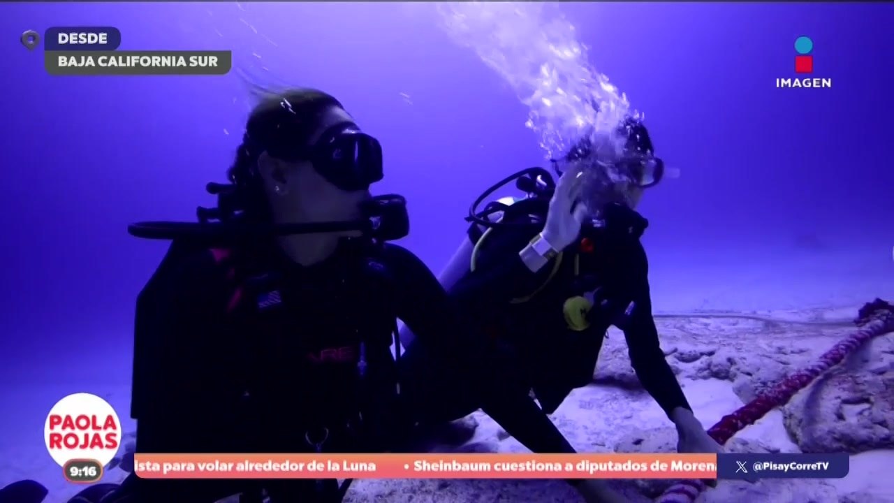 "Mares de México" comparte el amor y la pasión por el mar | DPC con Paola Rojas