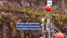 Áustria alerta para situação dramática: 94 dos seus 96 glaciares recuaram em dois anos