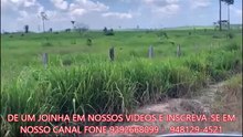 FAZENDA COM 1550 ALQUEIRÃO A VENDA CMC