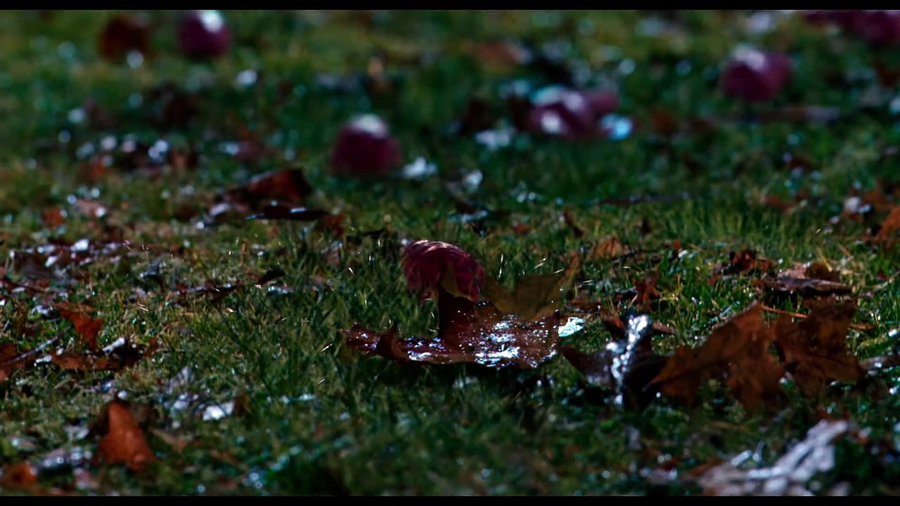 Slither Trailer