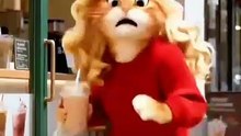 Animated Cat Cartoons