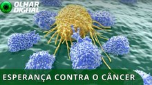 CAR-T: a terapia que pode mudar o tratamento do câncer