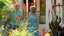 Gardening Australia Season 37 Episode 2