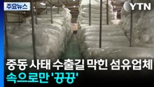 중동 사태로 수출길 막힌 섬유업체...속으로만 '끙끙' / YTN
