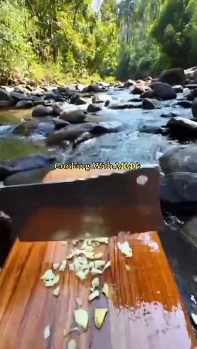 Chicken in Mountain 🏔️