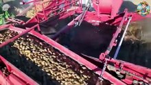 Inside_the_Lay’s_Factory_–_How_Millions_of_Potato_Chips_Are_Made(360p)