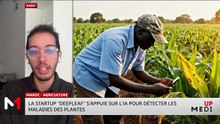 #MediUP / La startup "Deepleaf" s'appuie sur l'IA pour détecter les maladies des plantes - 09/01/2026