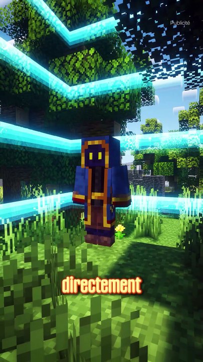 La meilleure façon de jouer à Minecraft ✅