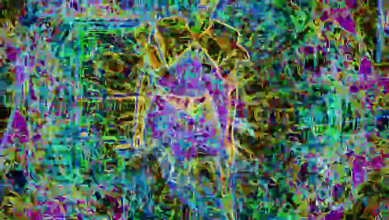 [Hard Ticket] Transcendentals — Dark Electronic Energy