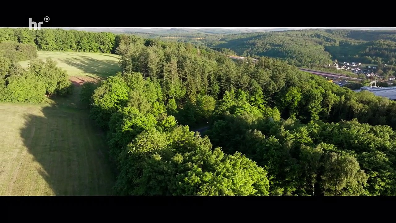 Mordspur eines Fernfahrers - Die Jagd nach Marco E02-Morde ohne Muster