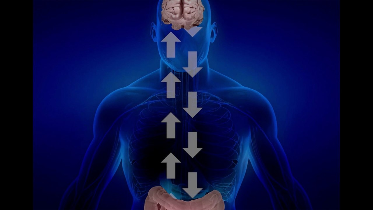 Your gut and brain connection Malayalam