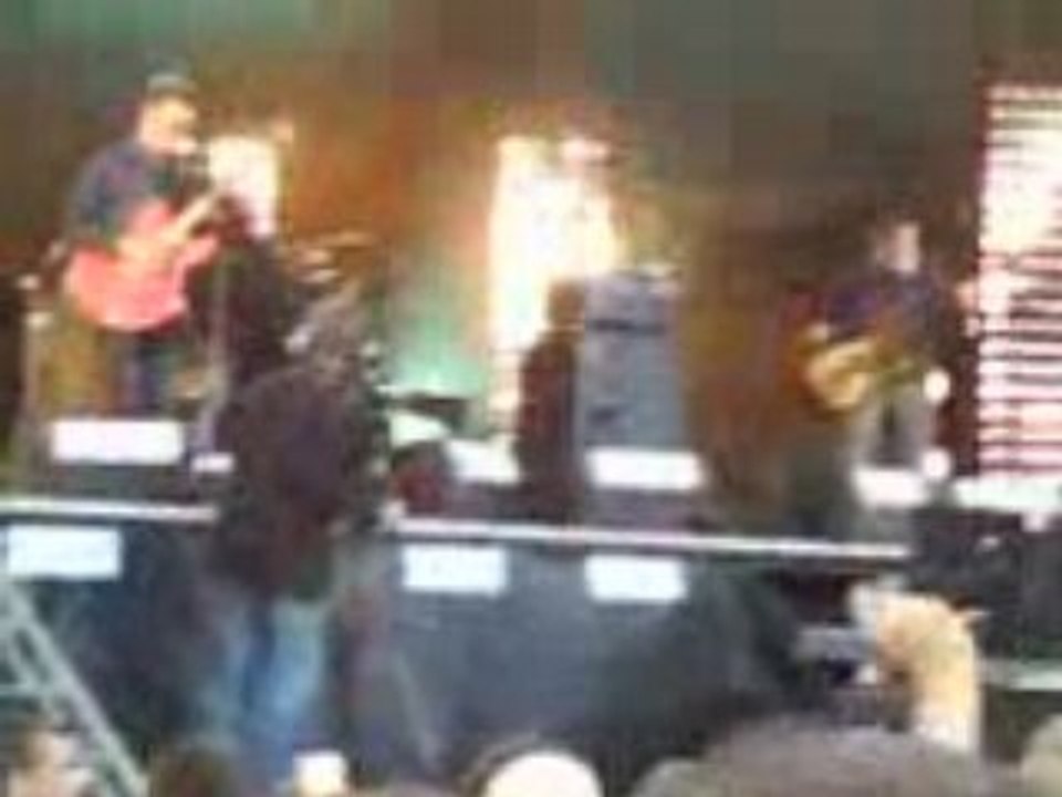 papillons de nuit 2008 pete doherty babyshambles