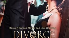 Divorce to Be the Top Heiress - full movie
