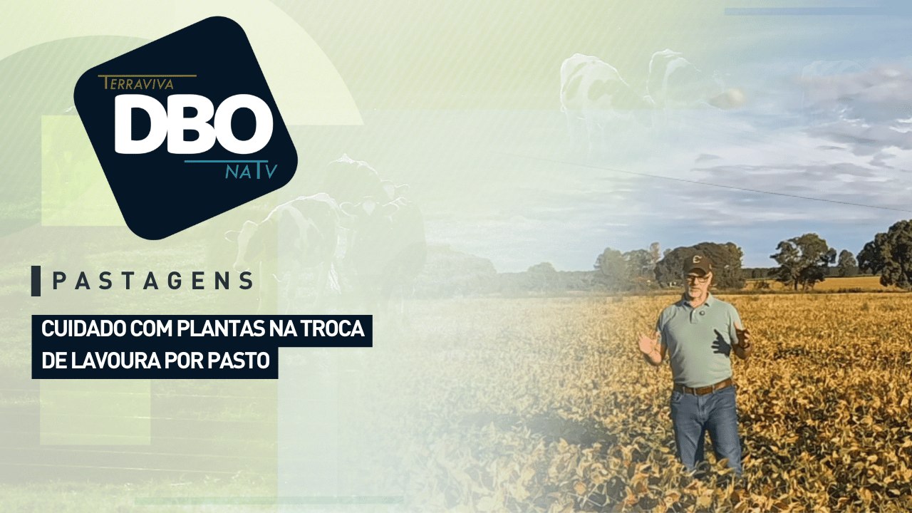 Pastagens: cuidado com plantas na troca de lavoura por pasto