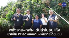 พลังงาน–กฟผ. ดันลำไยอบแห้ง ขายปั๊ม PT ลดพลังงาน-เพิ่มรายได้ชุมชน