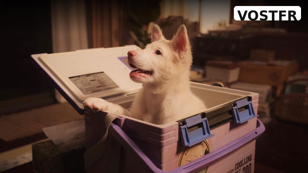 Bande-annonce Gohan (2026) VOSTFR