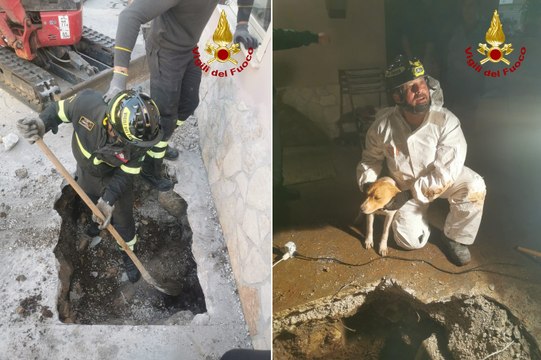 Cagnolino intrappolato in cunicolo, Teddy liberato dopo otto ore di lavoro (14.03.26)