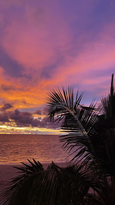 Tropical Sunset View
