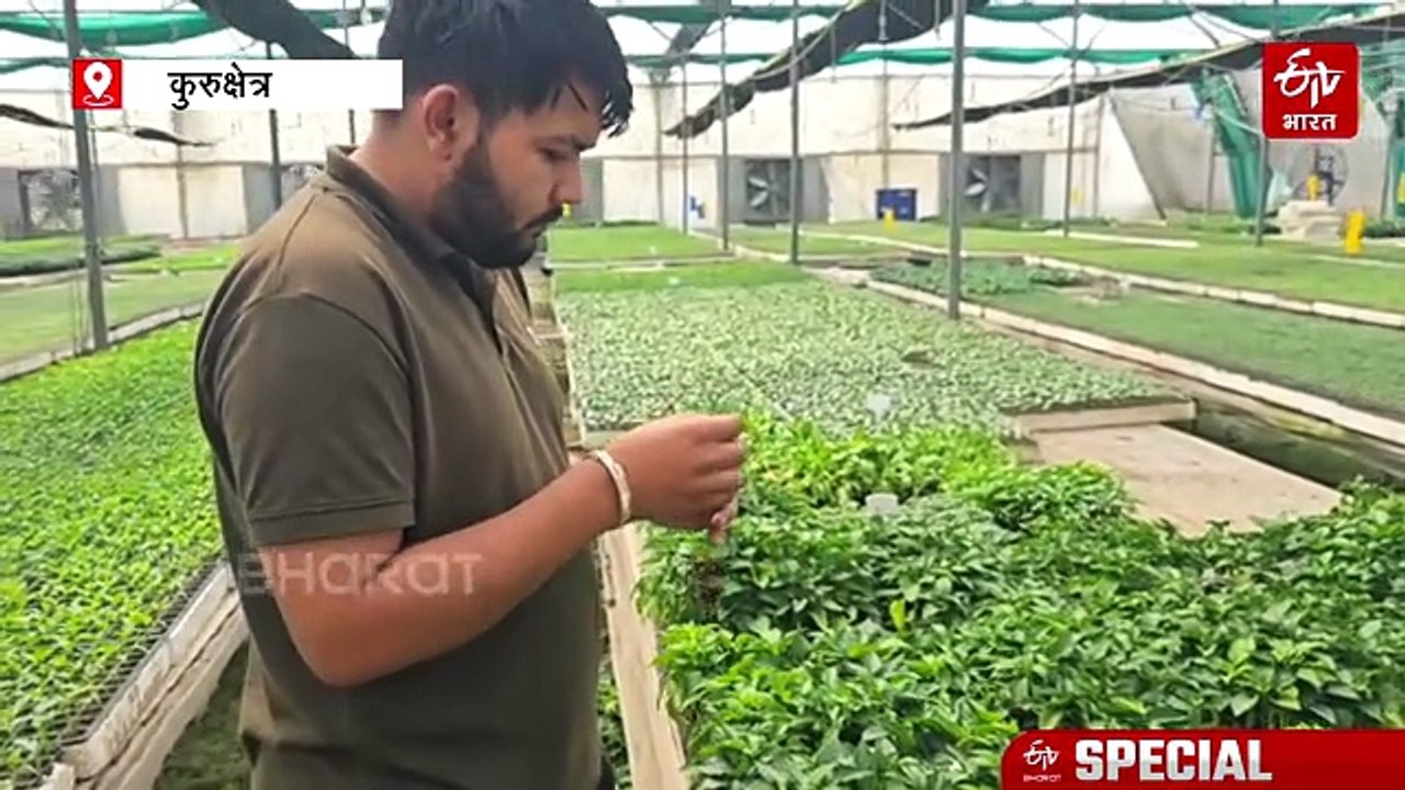 कुरुक्षेत्र के मोहित बना रहे सालाना 2 करोड़ पौध...