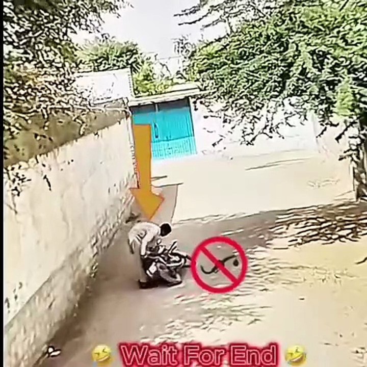 Video best video All video