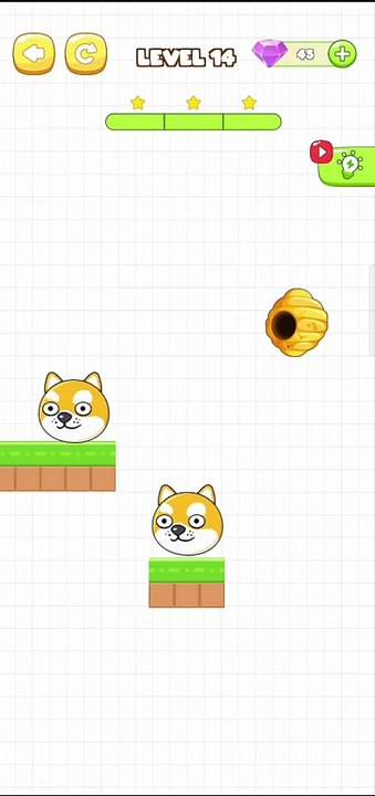 Save The Pets Level 14