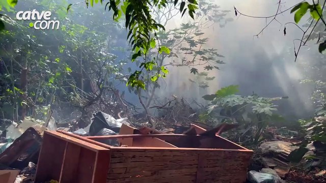 Incêndio em vegetação mobiliza Corpo de Bombeiros no bairro Melissa
