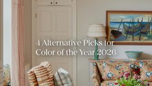 Alternative Colors Of The Year 2026 #shorts