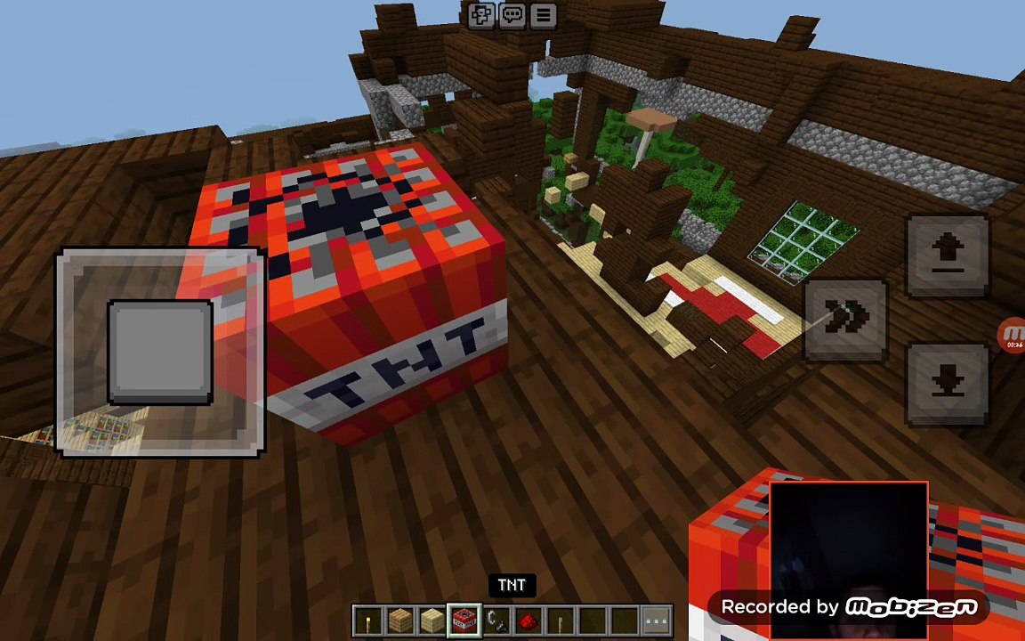 Minecraft fun