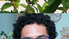 O preço da beleza pode ser a EXTINÇÃO!