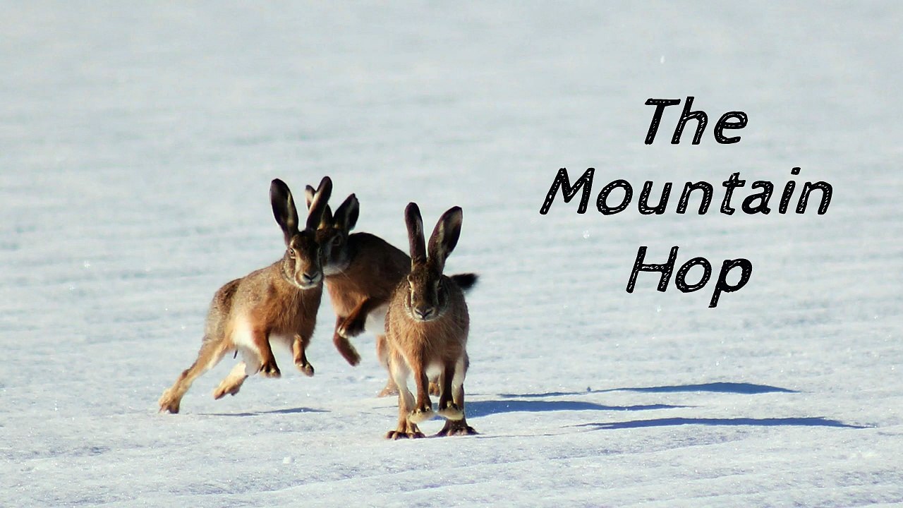 Sean Ferree - The Mountain Hop (Official Music Video)