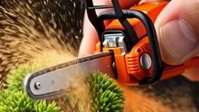 Mini Chainshaw Cutting Bonsai #diytools #woodworking #tools #diytool #powertools