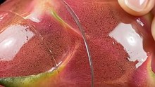 Glass Dragonfruit Cutting ASMR | Oddly Satisfying Fruit Slice