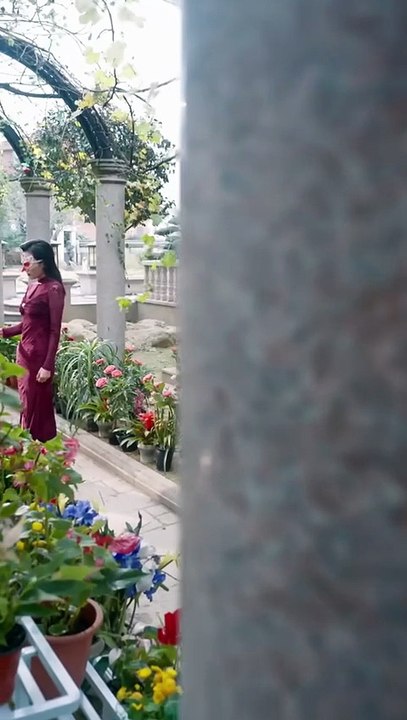 Everyone said that they were disregarding human relationships, absurd, and unbearable, but they didn't care about their identity and face, and in front of the full hall of guests, the little rose was born arrogant and should have bloomed only for him, #sh