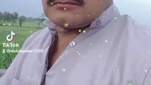 Punjabi mahol