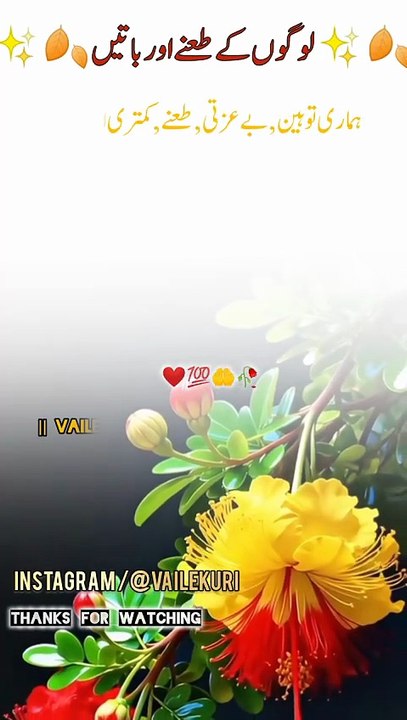 Dil torny waly