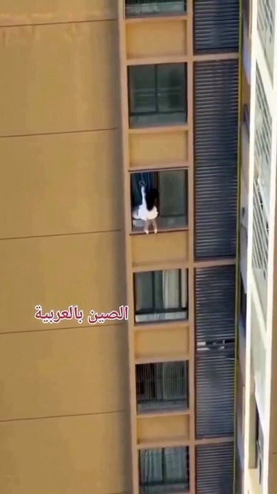 Une femme s'enfuit de chez son amant par fenêtre