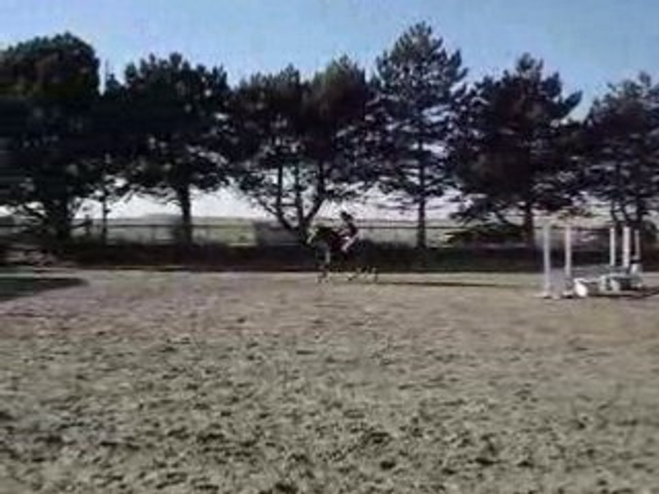 Vidéo Laetis Coco