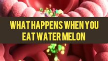 What Happens When You Eat Watermelon 3D Animation