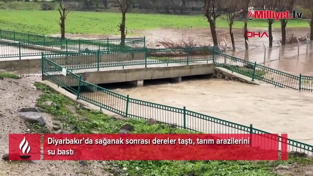 Büyük felaket! Gece başladı, sabah gördükleri manzara şoke etti: ‘15 yılda bir oluyor’