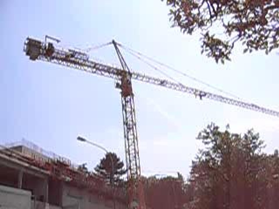 grue