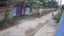 Hài Tin Viet 2022 Mới Nhất ｜ Những Thằng Ngu Nhất Hành Tinh Cười Vỡ Bụng ( P130)✔