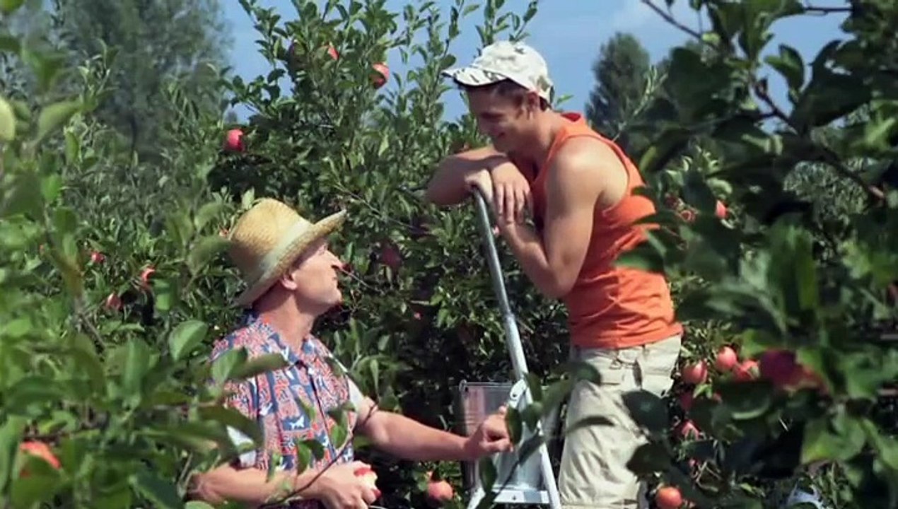 Сваты 6 сезон 12 серия/svaty_s06_e12